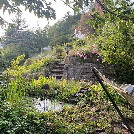 Ferienwohnung Kellerwald Waldeck  Buitenkant foto