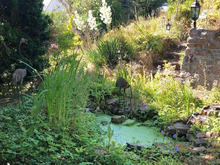 Ferienwohnung Kellerwald Waldeck  Buitenkant foto