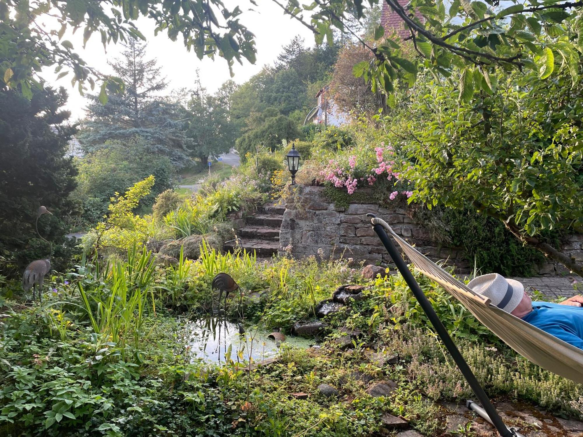 Ferienwohnung Kellerwald Waldeck  Buitenkant foto